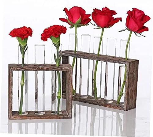 Tube Shape Glass Vase with 3 or 5 Holes Wood Stand Decoration Flower Vontainer for Hydroponics Plant Transparent Flower Arrangement Vase-5 Tube - Image 5