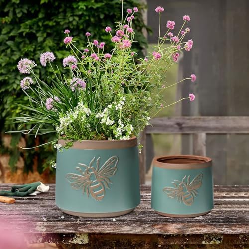 Terracotta Pots, 6+4 Inch Plant Pots, 2 Pcs with Drainage Holes - Image 4