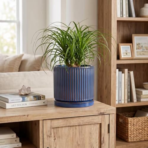 8 Inch Plant Pot, Ceramic Planters with Saucer, Retro Blue - Image 3