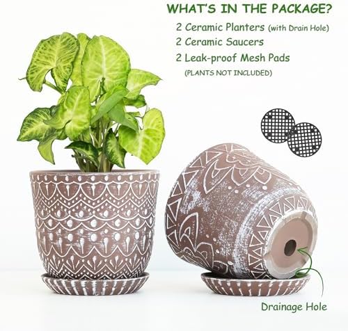 Gepege Ceramic Plant Pots, 6 Inch Indoor Planters with Drainage & Saucers - Image 3