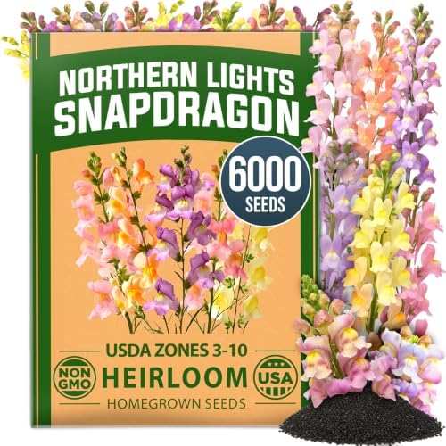 HOME GROWN Northern Lights Snapdragon 6000 Flower Seeds Antirrhinum majus by HOMEGROWN