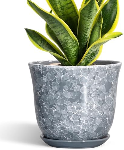 Ceramic Plant Pots - 8 Inch Plant Pot with Drainage Hole and Saucer, Round Planter for Indoor Outdoor, Modern Flower Pots, Decorative Planters, Home Room Office Decor, Gardening Gifts, Grey by SUNPOTFOR
