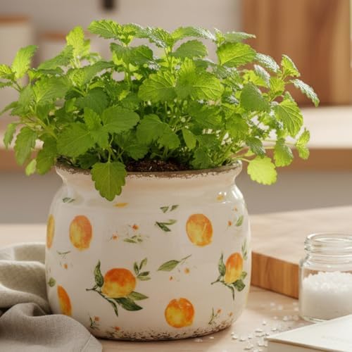 Lemon Ceramic Planter, Italian Mediterranean Flower Pot for Indoor Plants - Image 2