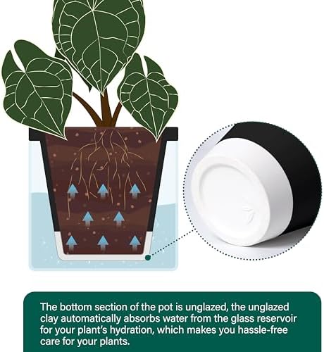 D'vine Dev Self-Watering Black Terracotta Planter Pot, 8 in, 37-X-C-3 - Image 6