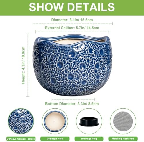 Orchid Pot - 6 Inch Ceramic Plant Pot for Indoor Outdoor, Round Unique Planters with Drainage Hole, Modern Round Decorative Flower Pots, Home Decor, Gifts for Plant Lovers, Blue - Image 2