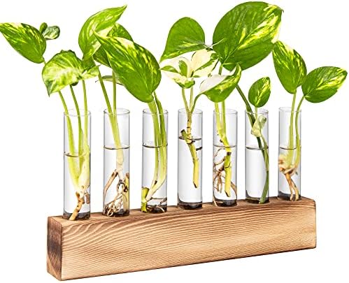 KAXYEW Plant Terrarium with Wooden Stand, Plant Propagation Tubes, 7 Test Tubes Glass Planter for Hydroponic Plant Cuttings Home Office Décor by KKAXYEW