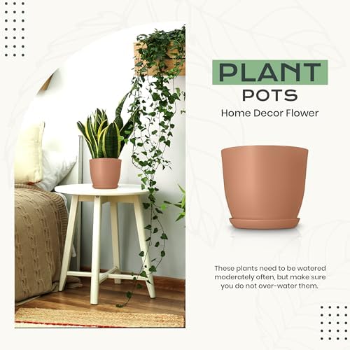 Plant Pots Indoor with Drainage 10 Pack Multi-Size Planters Set Terracotta - Image 4