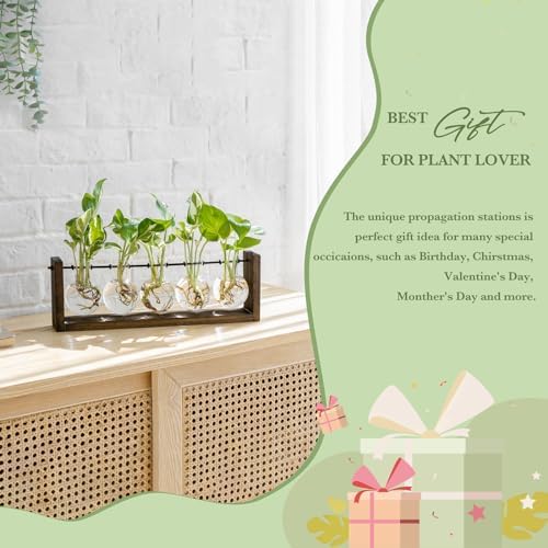 Mkono Plant Propagation Station Hanging Desktop Wooden Stand 5 Vases Holder - Image 4