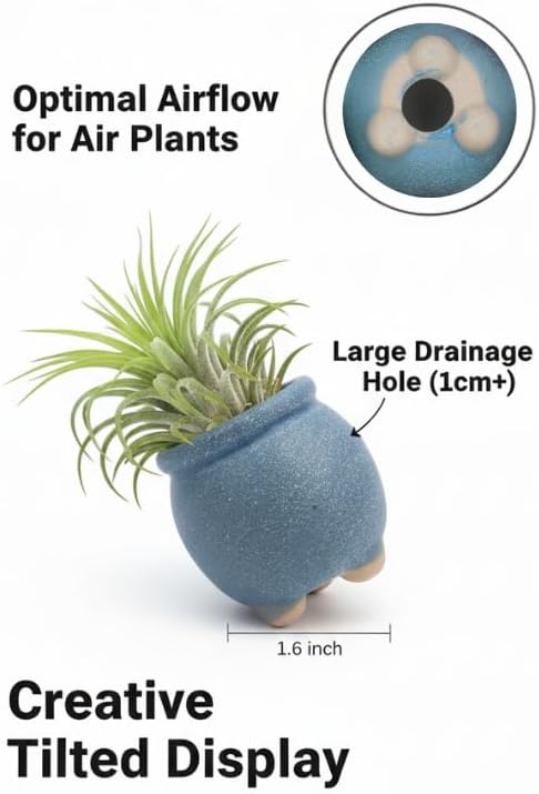 12-Pack 1.6" Wide Round Belly Succulent Pots with Large Drainage Hole - Rustic Morandi Stone Textured Ceramic Planters, Side-Tilted Stable Mini Pots for Air Plants, Fairy Gardens (Light Khaki) - Image 5