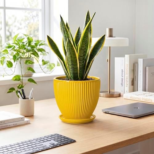 8 Inch Pots for Plants, Ceramic Plant Pots for Indoor Plants, Round Ceramic Planter with Drainage Hole and Saucer, Modern Decorative Plant Pot, Home Kitchen Decor, Women Men Gifts, Yellow - Image 3