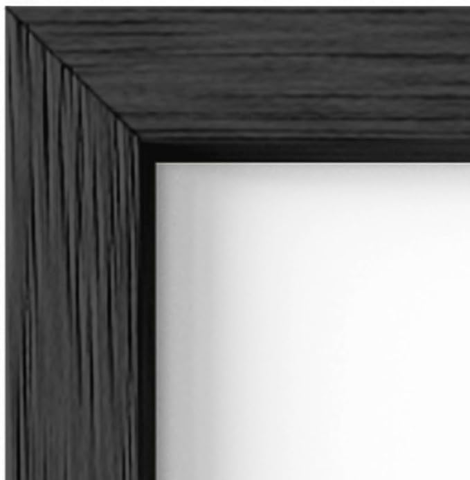 HAUS AND HUES 11x14 Black Metal Picture Frames - Features Premium Aluminum & Hanging Hardware, Shatterproof Plexiglass - Ideal for Home, Room, Office (11x14 in, Black, Set of 4)