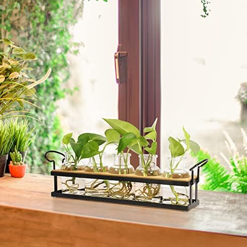 Plant Propagation Station with 5 Glass Jars, Retro Hydroponic Planter Vase - Image 4