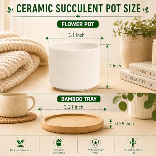 ZOUTOG 8 Pack 3.1" Ceramic Succulent Pots,White Planter with Drainage Tray - Image 2