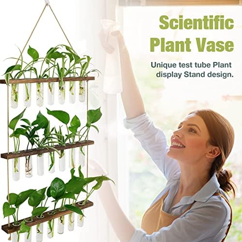 XXXFLOWER Wall Hanging Propagation Station with Wooden Stand - Image 4