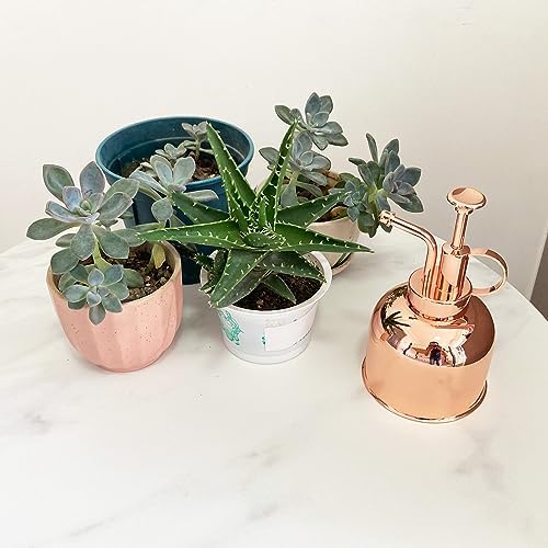 Plant Mister Spray Bottle Stainless Steel Plant Sprayer, Small Watering can Plant Spray Bottle Modern Gardening Tools for Indoor Potted Plants Watering and Spraying - Image 4