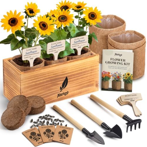 AVERGO Sunflower Seeds Growing Kit by Plantingseedsgrowingdreams