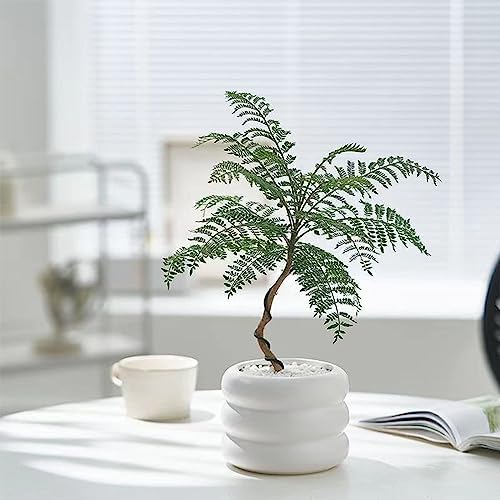 Ceramic Plant Pot Indoor, 4.5 Inch Flower Pot with Drainage Hole, Small Bubble Design Ceramic Planter for Home & Office Decor (White) - Image 6