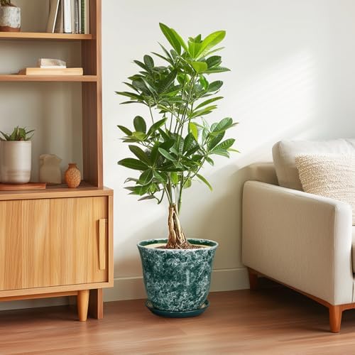 Ceramic Plant Pots - 10 Inch Plant Pot for Indoor Outdoor, Round Planter with Drainage Hole and Tray, Decorative Flower Pots, Modern Planters, Home Patio Garden Decor, Garden Gifts, Green - Image 4