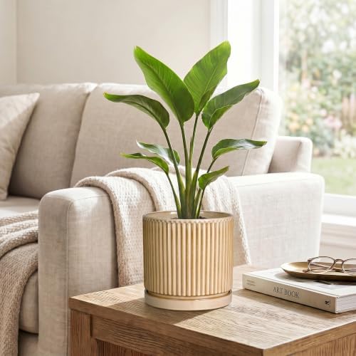 Ceramic Planter, 6 Inch Plant Pot, Pots for Plants with Tray, Beige - Image 5