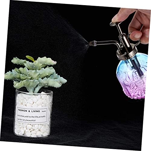Vintage Glass Watering Can with Head Plant Mister Bottle for Succulents Flowers Bonsai Elegant Decor - Image 2