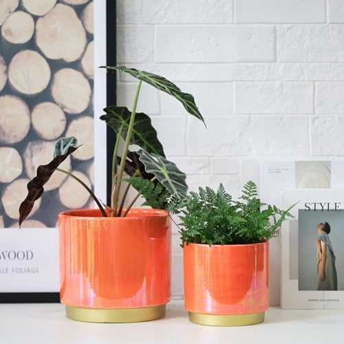 Gepege Peach Indoor Plant Pots for Plants, Ceramic Planter with Drainage Hole, 7.6 Inch +6 Inch 2pcs Succulent Orchid Flower Pot - Rainbow Pearl Glaze - Image 2