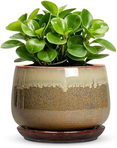 6 Inch Plant Pot - Ceramic Pots for Indoor Plants, Round Small Succulent Planter with Drainage and Saucer, Decorative Flower Pot, Office Room Decor, Gifts for Plant Lovers, Brown-Beige by Fivepot