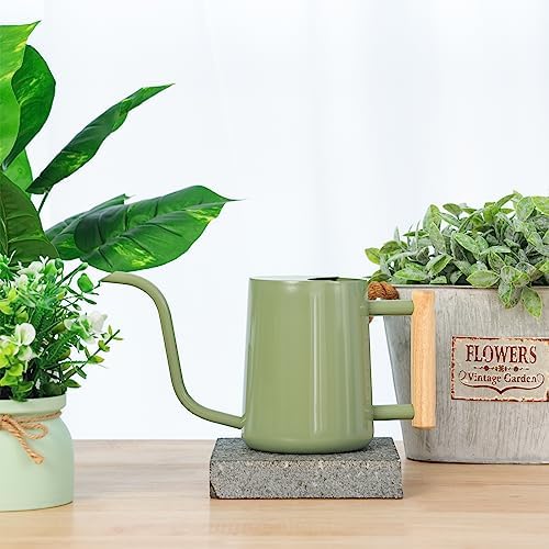Metal Watering Can for Indoor Plants, 35oz Sage Green Cute Stainless Steel Pot with Long Spout for Indoor House Plants Bonsai Outdoor Garden Flower Decorative - Image 4
