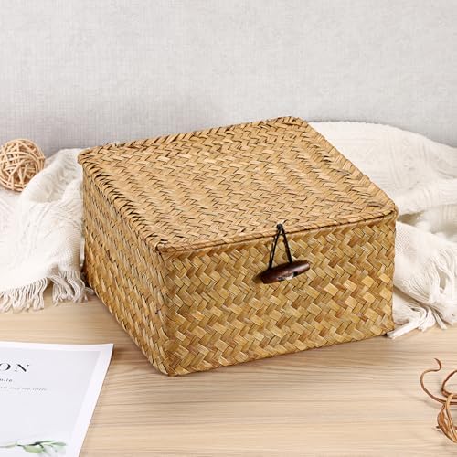 Hipiwe Handwoven Wicker Shelf Basket Bin with Lid Decorative Baskets Box - Image 6
