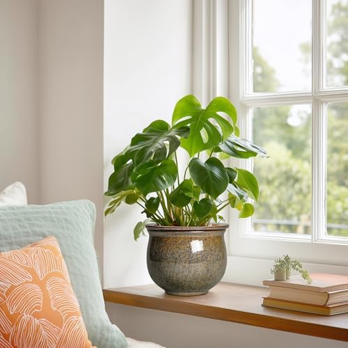 Self Watering Planters for Indoor Plants, 6 Inch Ceramic African Violet Pots with Absorbent Inner Pot, Ceramic Plant Pot, Round Flower Pots, Bathroom Decor, Housewarming Gifts, Yellowish Brown - Image 4