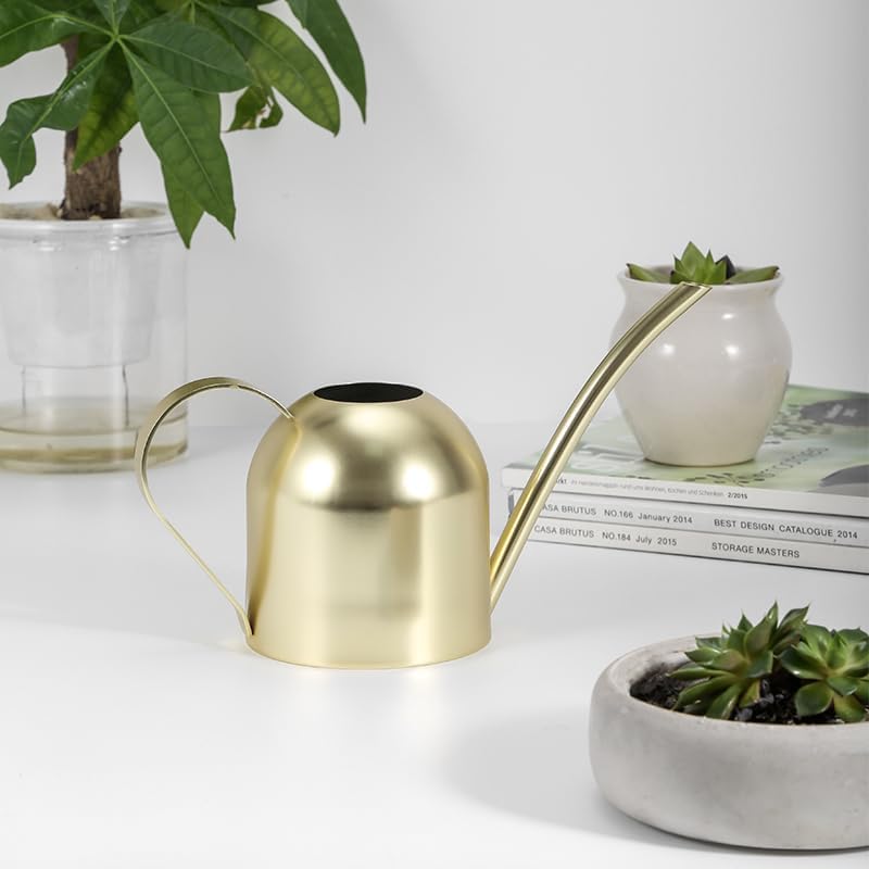 Stainless Steel Water Can for Indoor Plants and Garden (Gold 30 oz) - Image 4