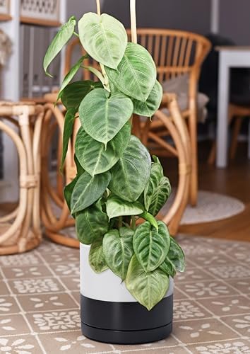 D'vine Dev 10 Inch Ceramic Planter Pot, Black White Two Tone, 94-O-E-L - Image 6