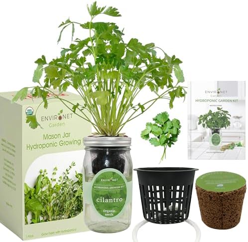Hydroponic Herb Growing Kit, Self-Watering Mason Jar Window Herb Garden Starter Kit Indoor, Grow Your Own Herbs from Organic Seeds (Cilantro) - Image 2