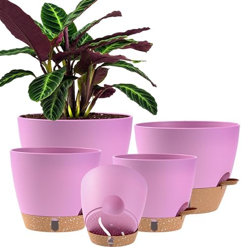 Self Watering Pots for Inoor Ourdoor Plants 10/9/8/7/6.5 Inch, 5 Pack by Fielda