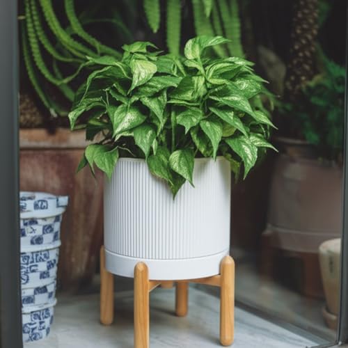 HERDUK 8 Inch Ceramic Planter with Natural Wood Stand w/Drainage & Saucer - Modern Indoor Planter for Cacti, Snake Plants & Aloe Vera - Image 3