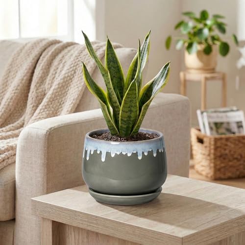 Ceramic Pots for Plants 6 Inch, Indoor Plant Pots, Grey-Blue - Image 5