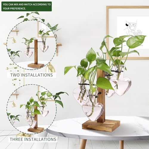 Plant Terrarium Propagation Stations with Wooden Stand - Image 5