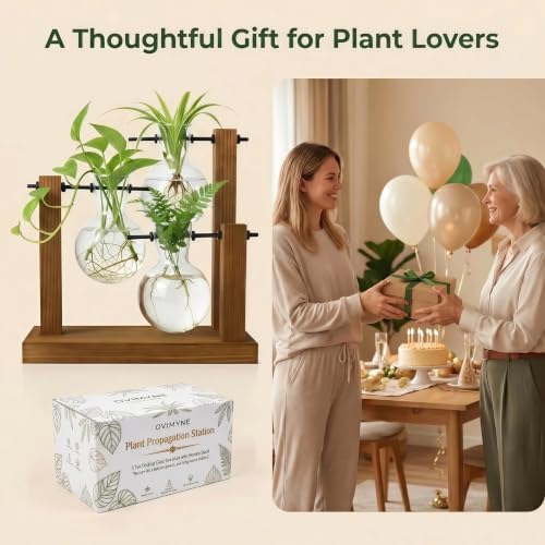 Plant Propagation Station, Wooden Stand with 3 Glass Vases - Image 6
