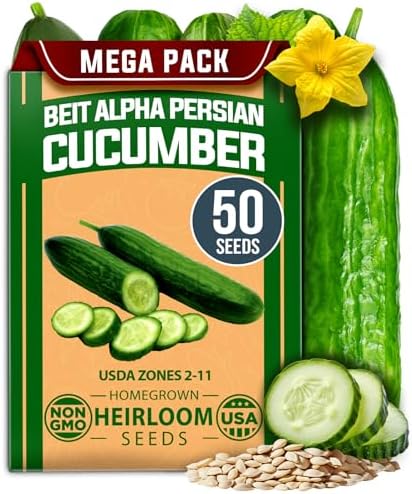 HOME GROWN Persian Cucumber Seeds, 50+ Seeds, Cucumis sativus by HOMEGROWN