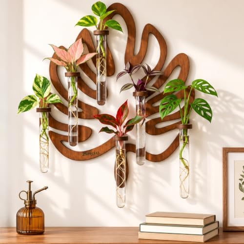 Leaf-Shaped Plant Hanging Propagation Stations with 6 Glass Vases & 1 Spare by 2SpecialAllYouNeed