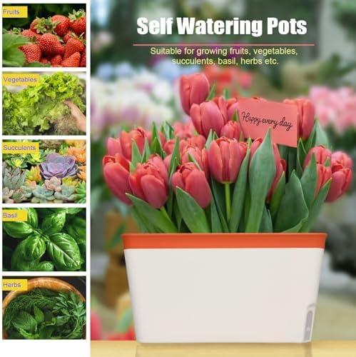 OurWarm Windowsill Herb Planter Box Indoor Set of 3, 10.5 Inch Self Watering Planter Pots with Visual Water Level Window, Modern Plastic Plant Pots for Herbs, Vegetables, Succulents Plants - Image 5