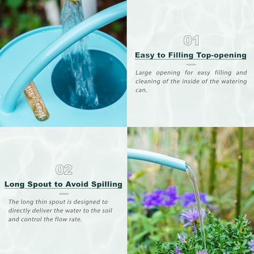 2L Long Spout Watering Can, Stainless Steel Water Can (Magnolia) - Image 3
