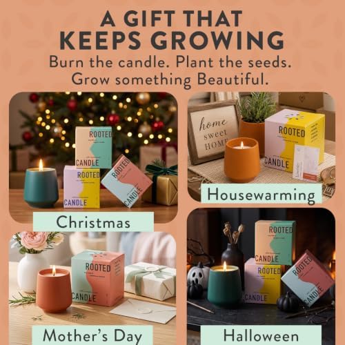 Modern Sprout Soy Candle Planter - Grows Rosemary - Cucumber Scent - 2-Pack - Image 5