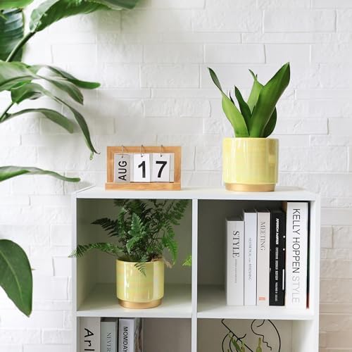 Gepege Ceramic Plant Pots for Indoor Plants, Planters with Drainage Holes - Image 2