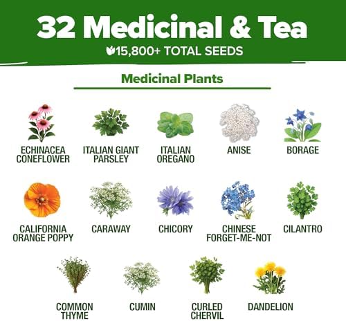 HOME GROWN 32 Medicinal Herb & Tea Variety Seeds Garden Kit - Image 3