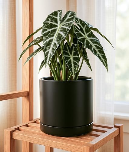 D'vine Dev 10 Inch Ceramic Planter Pot, Black, 94-O-E-2 - Image 5