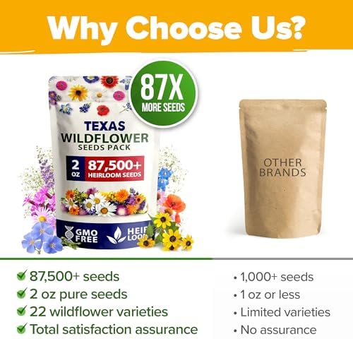 HOME GROWN Texas Wildflower Mix 87,500+ Flower Seeds 2 oz - Image 7