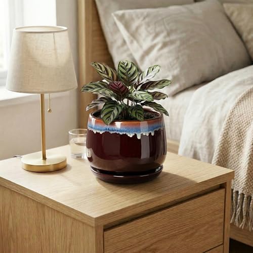 Ceramic Plant Pots - 6 Inch Planter with Drainage Hole and Saucer, Small Succulent Pot for Indoor Plants, Round Decorative Flower Pots, Garden Shelf Decor, Plant Gifts for Women, Brown-Blue - Image 6