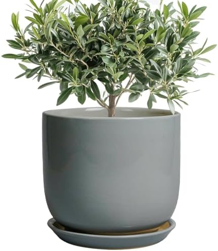 Ceramic Planter for Indoor Outdoor Plants - Cylinder Decorative 8 Inch Plant Pot with Drainage Hole and Saucer, Modern Home Decor, Gray by SUNPOTFOR