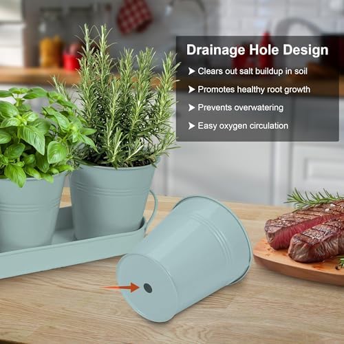 Herb Garden Planter Indoor Kit – 6 Metal Pots with 2 Trays for Windowsill & Kitchen Counter – Modern Decorative Indoor Planters for Herbs, Succulents & Small Plants, Mint - Image 4