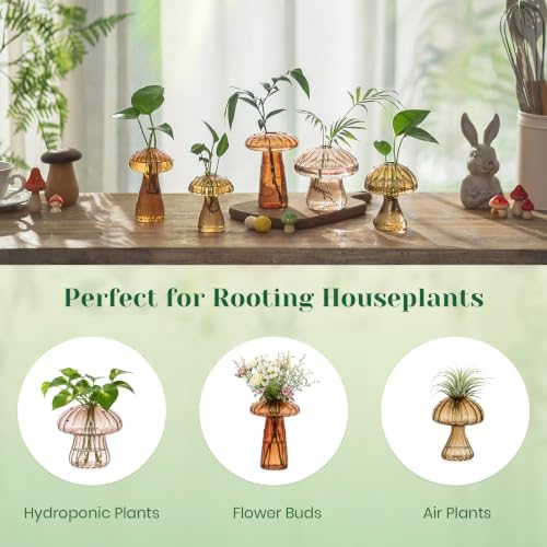 Hewory Plant Propagation Stations: 5PCS Amber Mushroom Vase for Flower - Image 6